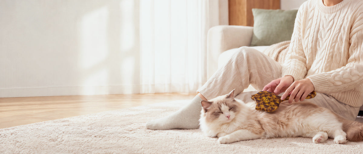 An owner in a beige knit sweater grooming a relaxed long-haired cat with a leopard cat-shaped HOP slicker brush