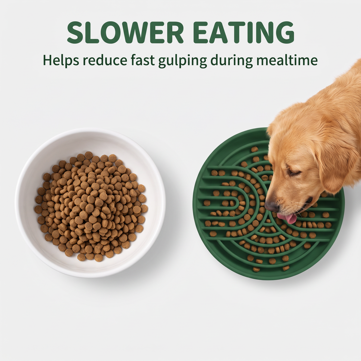 A dog beside a plain food bowl and a dark green bowl with raised feeding channels