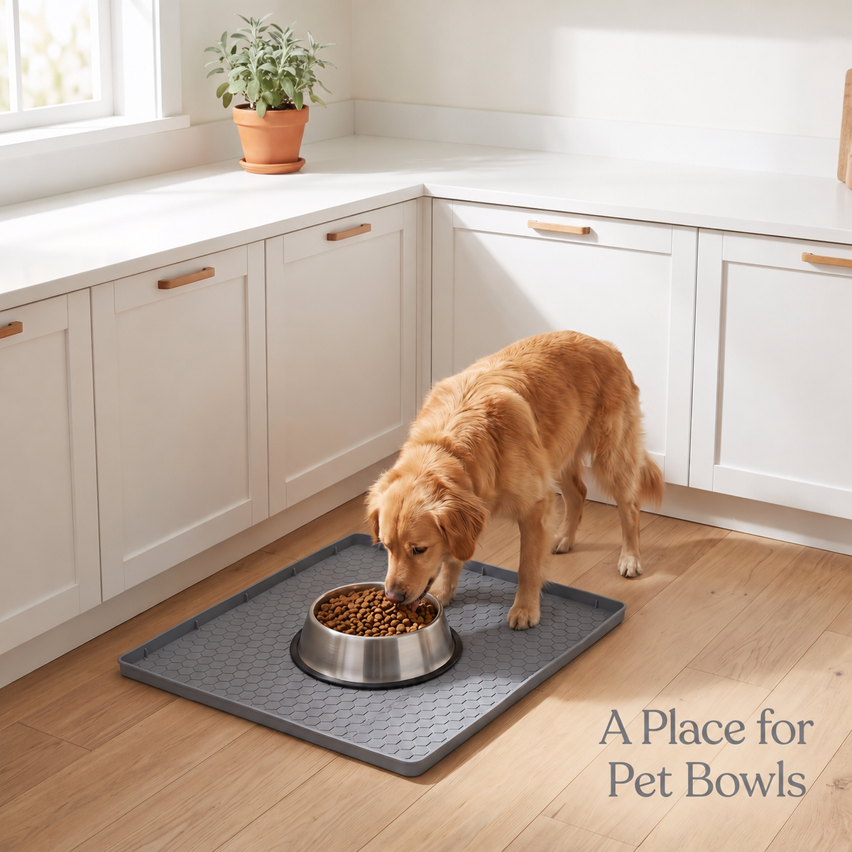 Dog eating from a bowl placed on a gray honeycomb-textured feeding mat