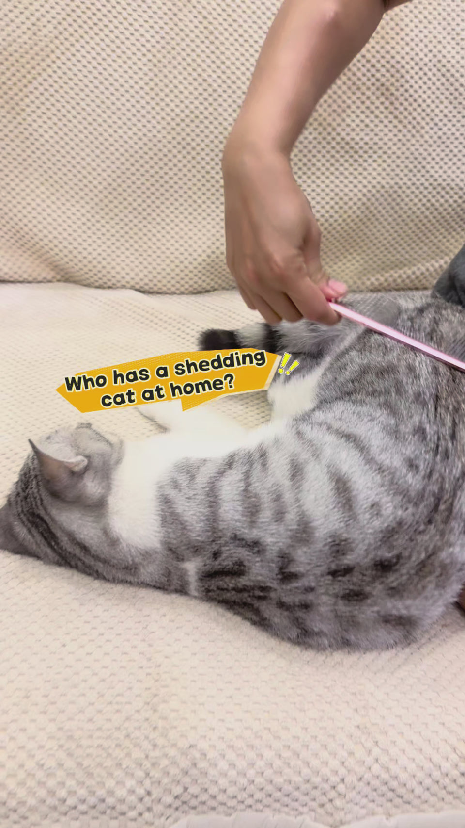 Demonstration video of the dual-density metal grooming comb