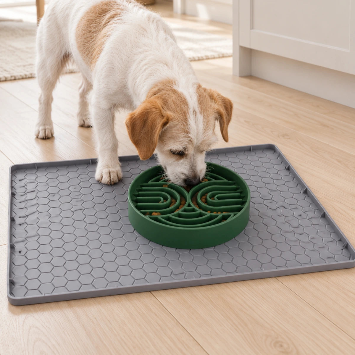 A dog eating from a green slow feeder bowl on a grey mat